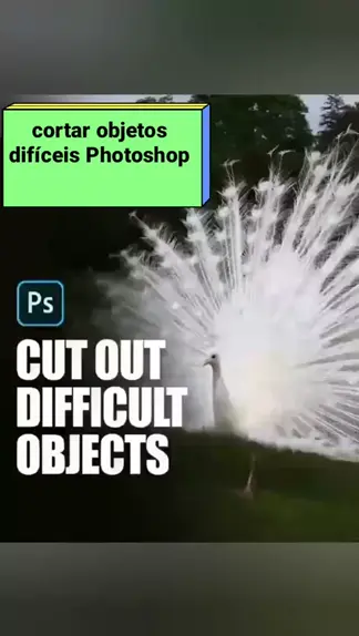 imageboard definition | Discover