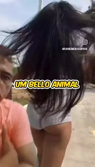 rainbowdragon nua & rainbowdragonthaiDiscover