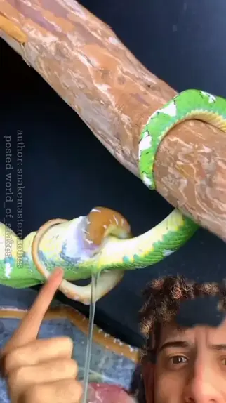 patrickbatman111 leaked