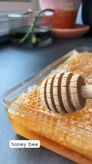 honey beeboo instagram