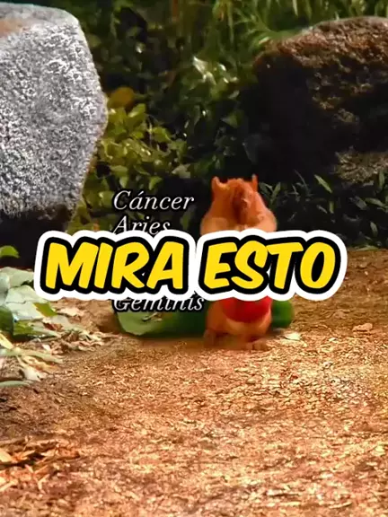 minimira 988 & minimira.988| Discover