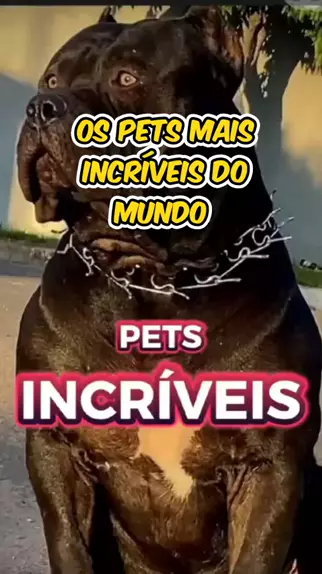 wonder pets meta ua | Discover