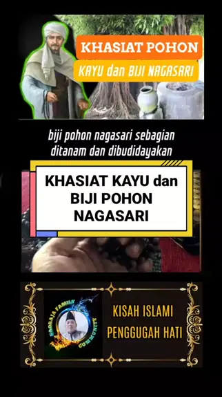 khasiat pohon nagasari