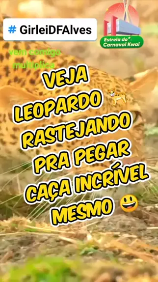tbhcacagirl