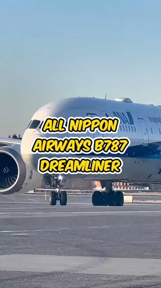 nippy dream | Discover
