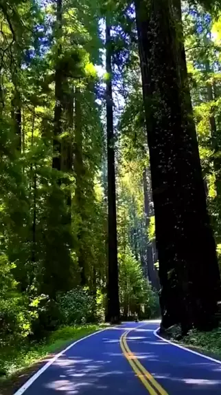 enature ru & enature.ru| Discover
