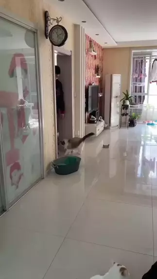 为什么 普通话 的英文叫 Mandarin 而不是Chinese 知乎
