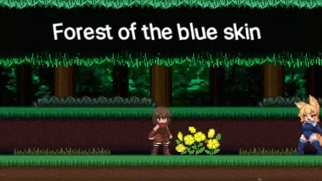 blueskin forest