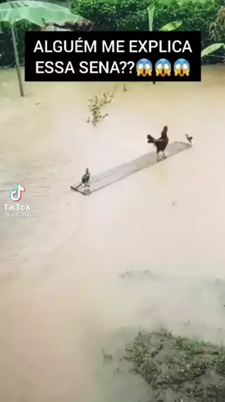 paige insco leak & paige insco leak tiktokDiscovKwai