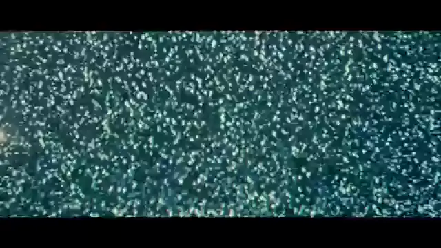 pia erome & erome pia miaDiscover