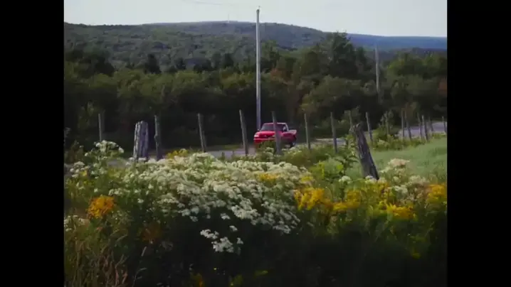 treadmill tails & treadmill tail full videos| Disc| Kwai