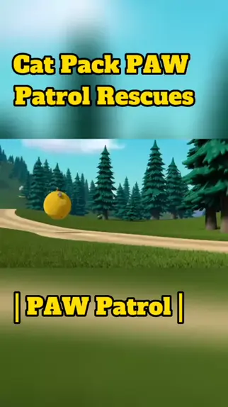 packchee tuktuk patrol