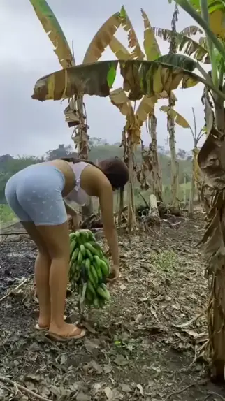 sensualsunshine2 leak & sensualsunshine leakDiscKwai