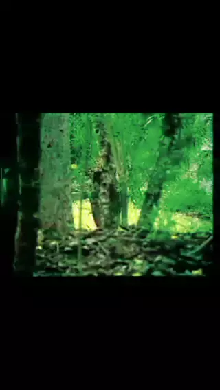 gracie hartie leaked onlyfans